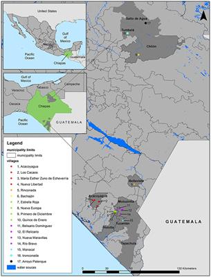 Contributions of Agroforestry Systems to Food Provisioning of Peasant Households: Conflicts and Synergies in Chiapas, Mexico